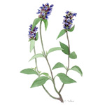 Selfheal